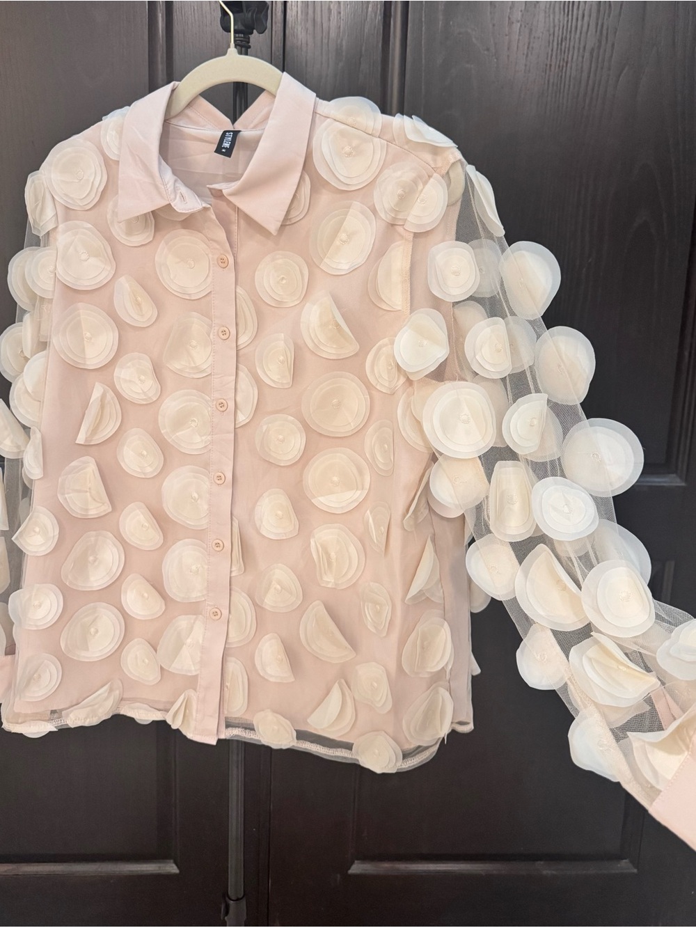 STYLEWE Pale Pink Sheer Appliqué Button-Down Blouse